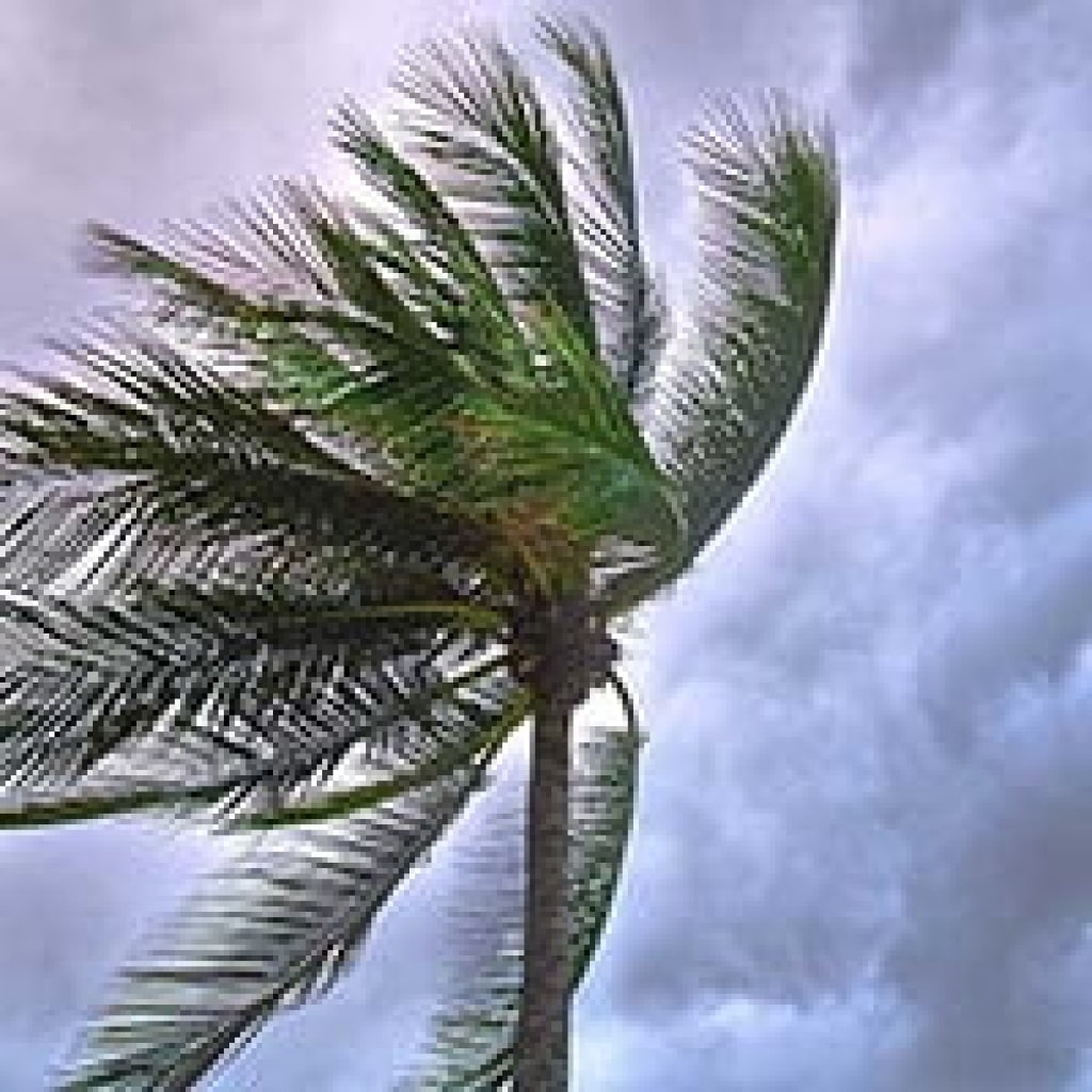 Stormex Images